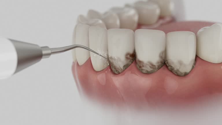 Reliable Dental contractor in Occoquan, VA by Dentist Open Now